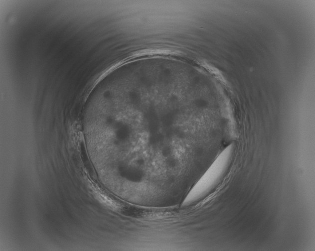 X0000082691369200702161713