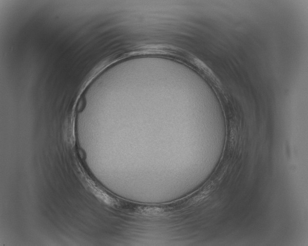 X0000082691370200702161713