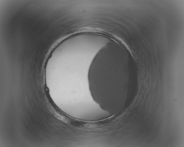 X0000082691371200702161713