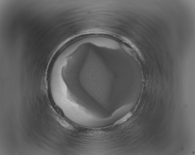 X0000082691372200702161713