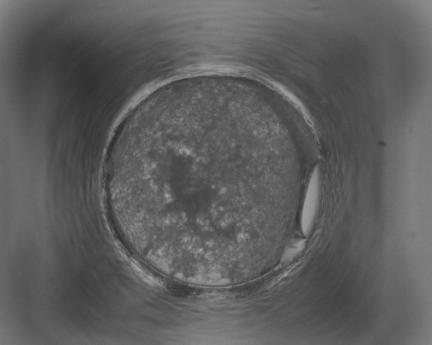 X0000082691373200702161713