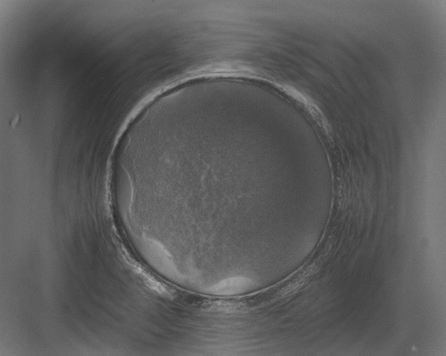 X0000082691374200702161713