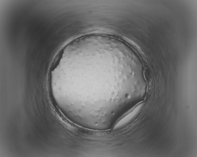 X0000082691375200702161713