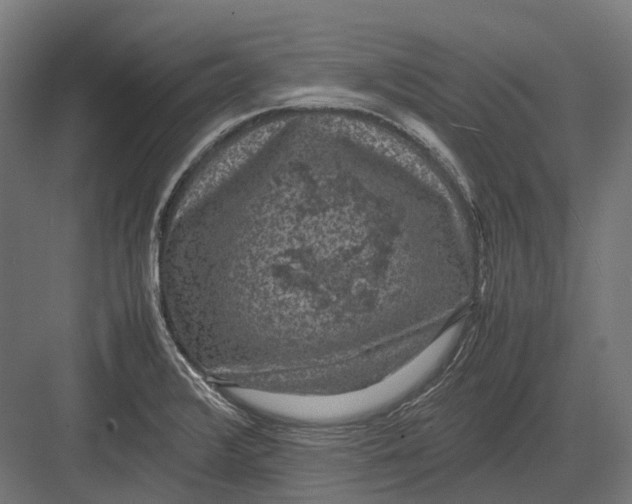 X0000082691376200702161713