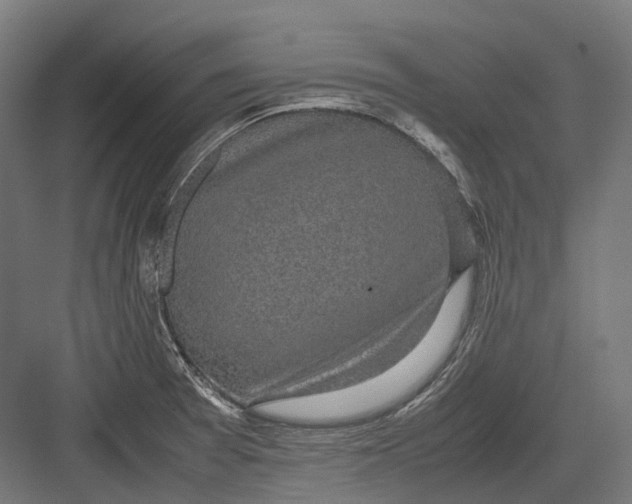 X0000082691377200702161713