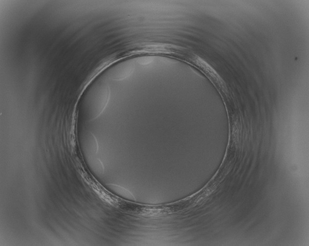 X0000082691378200702161713