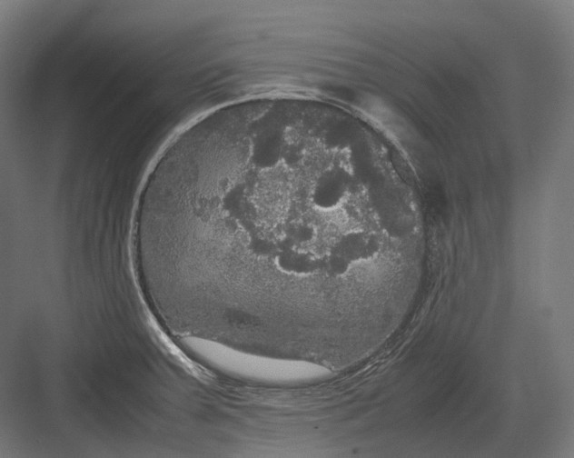 X0000082691379200702161713