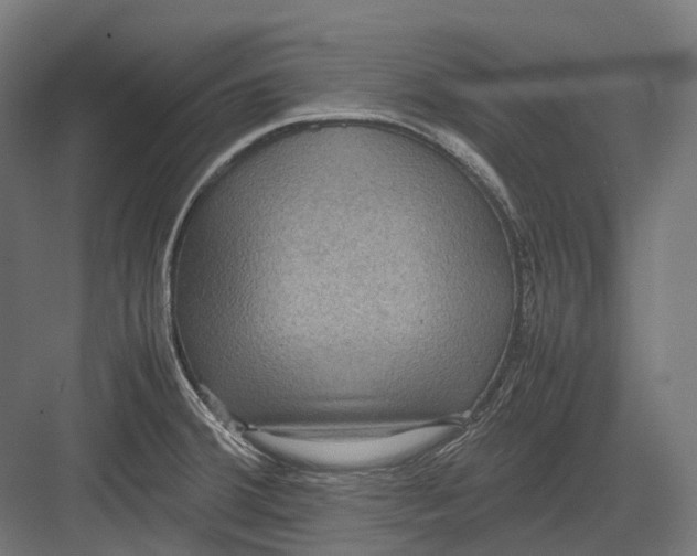 X0000082691380200702161713