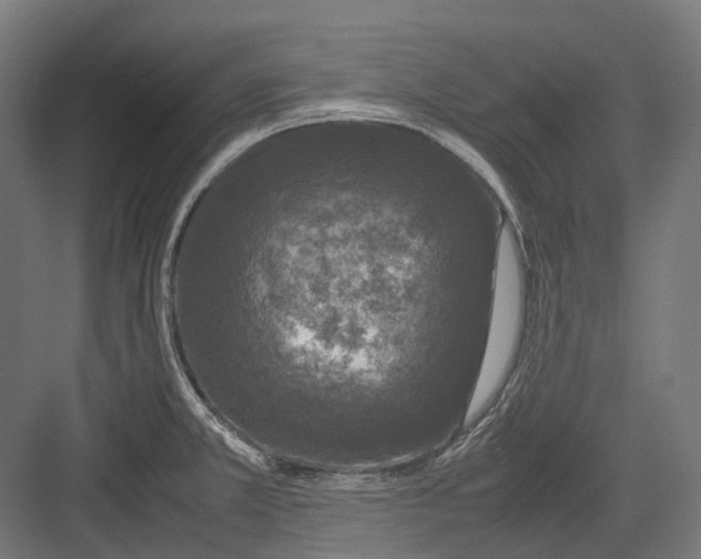 X0000082691381200702161713