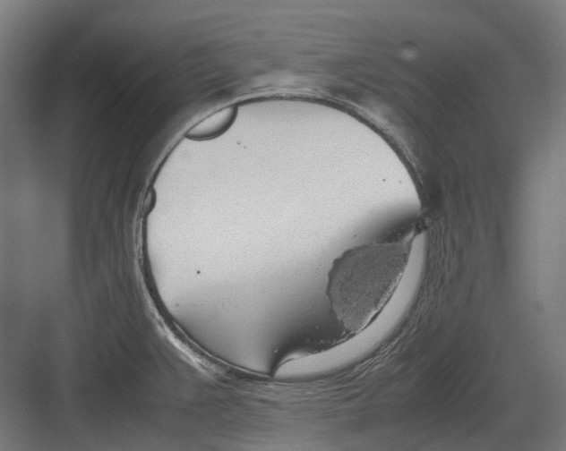 X0000082691383200702161713