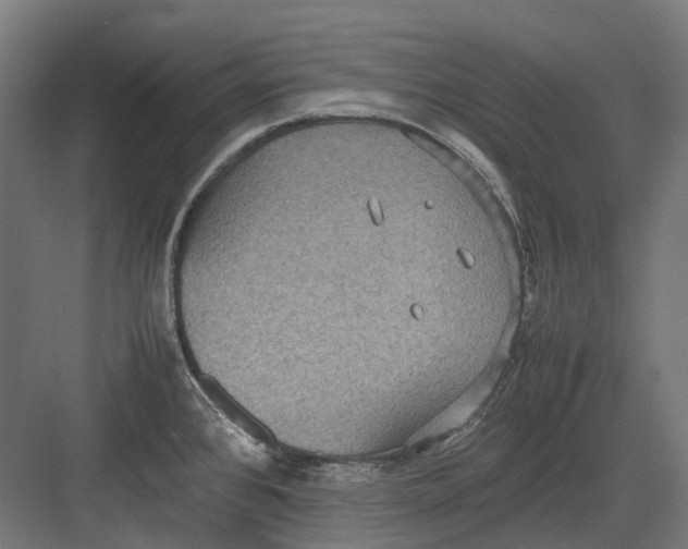 X0000082691384200702161713