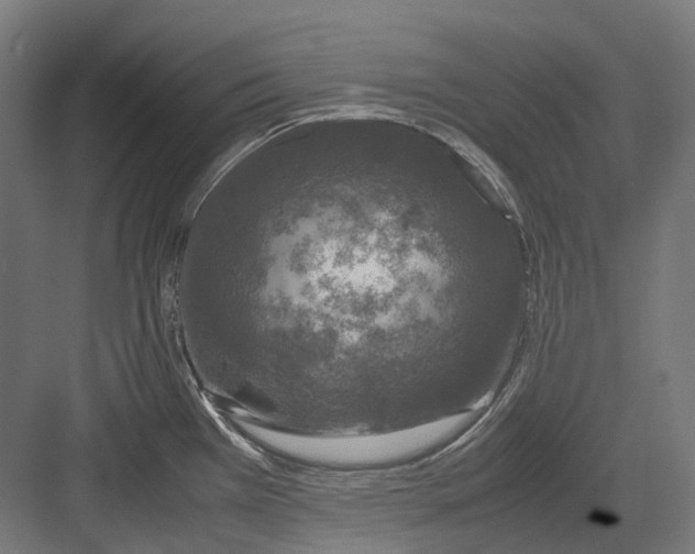 X0000082691385200702161713