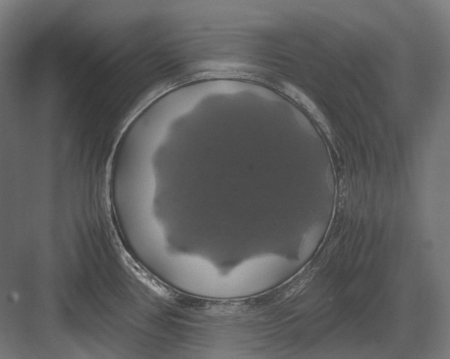 X0000082691386200702161713