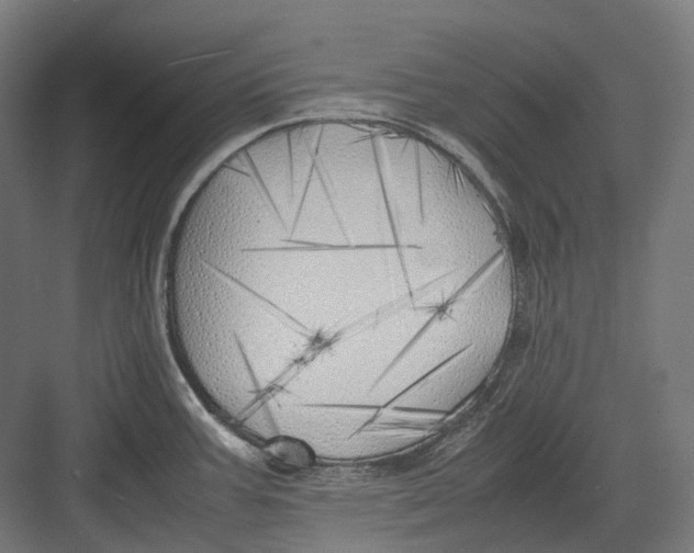 X0000082691387200702161713