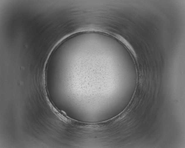 X0000082691388200702161713