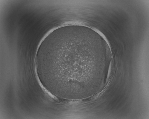 X0000082691389200702161713