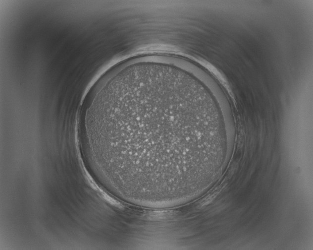 X0000082691390200702161713