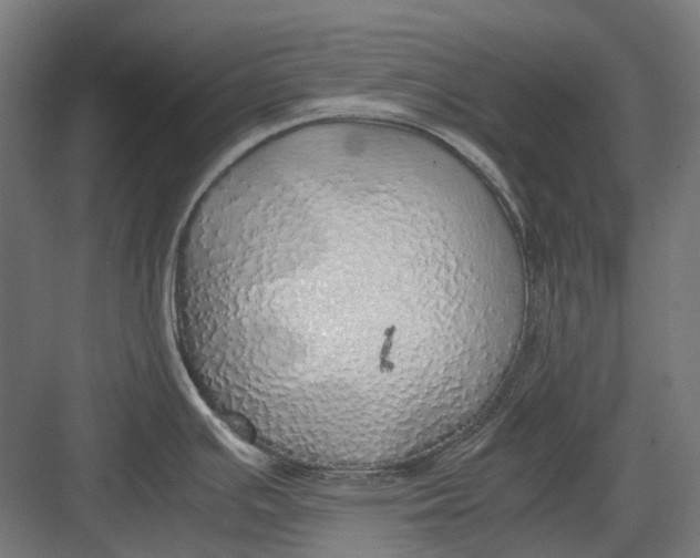 X0000082691391200702161713