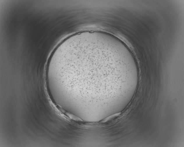 X0000082691392200702161713