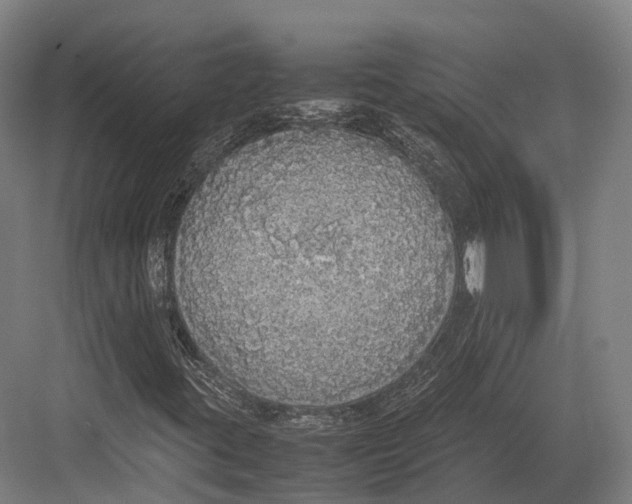 X0000082691395200702161712