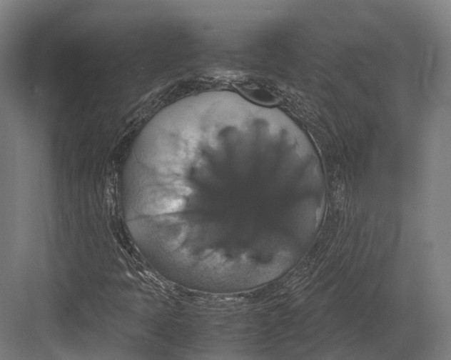 X0000082691397200702161712