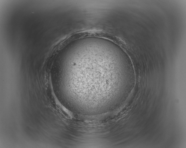 X0000082691398200702161712