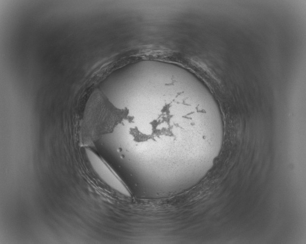 X0000082691399200702161712