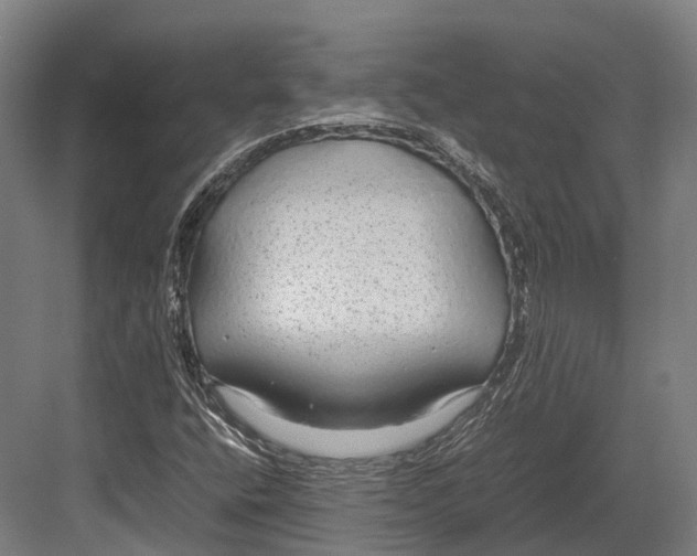 X0000082691400200702161712