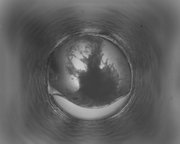 X0000082691401200702161712