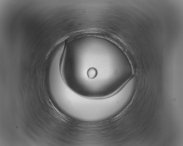 X0000082691402200702161712