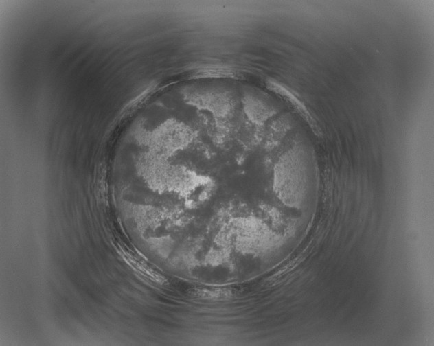 X0000082691403200702161712