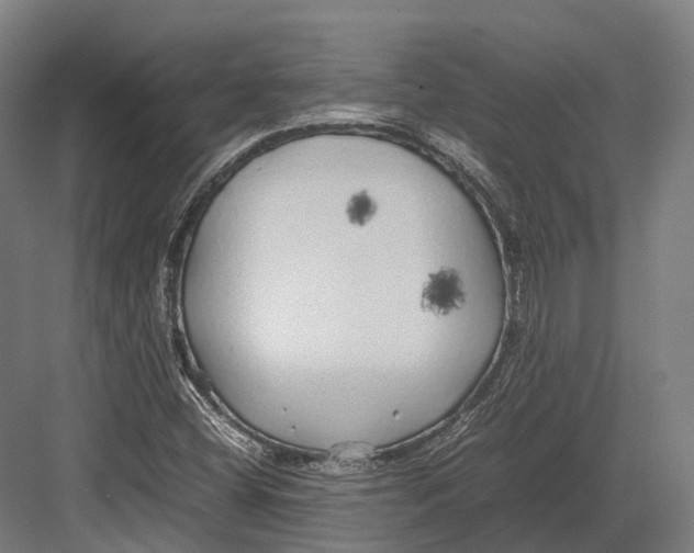 X0000082691404200702161712