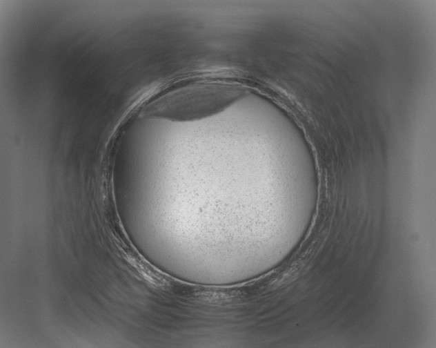 X0000082691405200702161712