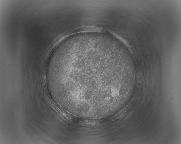 X0000082691407200702161712