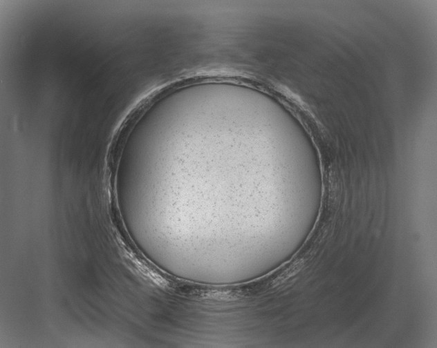 X0000082691408200702161712