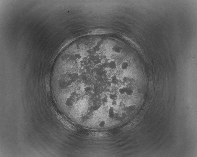 X0000082691409200702161712