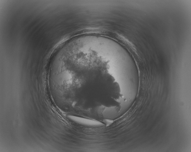 X0000082691411200702161712