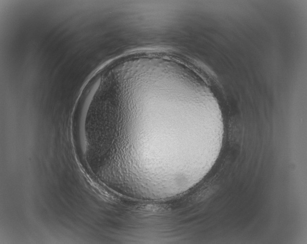 X0000082691412200702161712