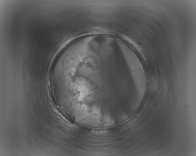 X0000082691415200702161712