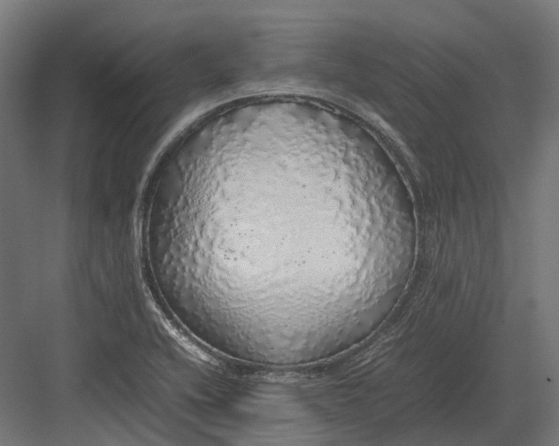 X0000082691416200702161712