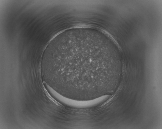 X0000082691417200702161712