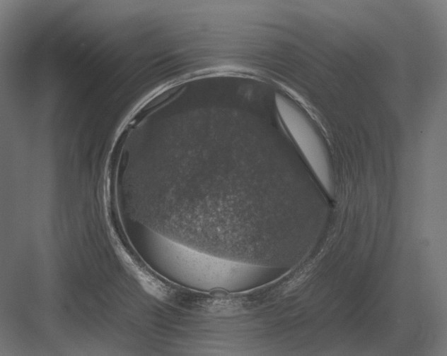 X0000082691418200702161712