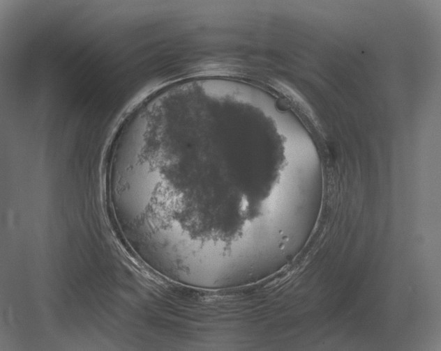 X0000082691419200702161712