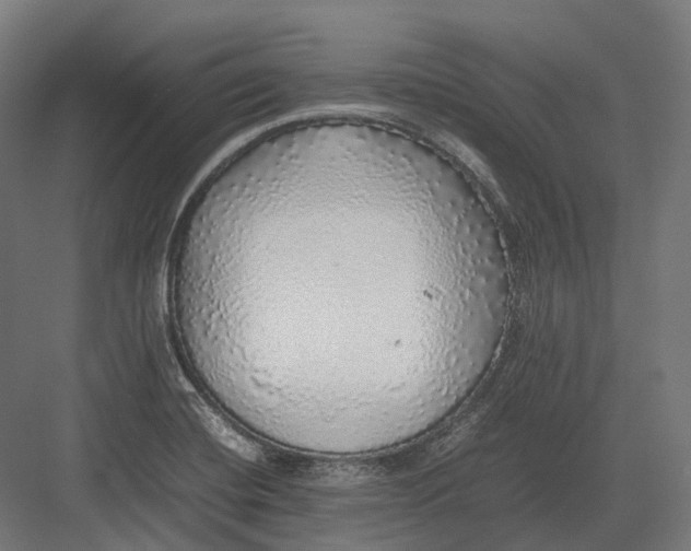 X0000082691420200702161712