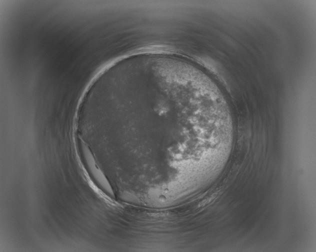 X0000082691421200702161712