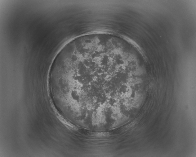 X0000082691423200702161712