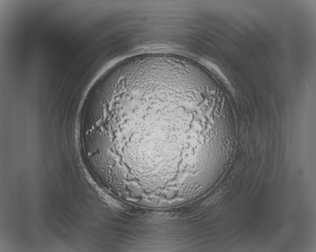 X0000082691424200702161712