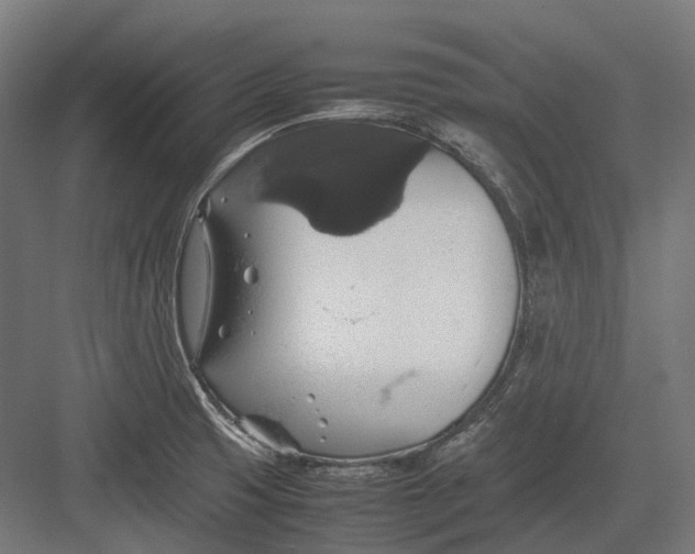 X0000082691425200702161712