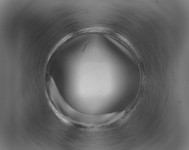 X0000082691426200702161712