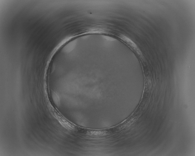 X0000082691427200702161712